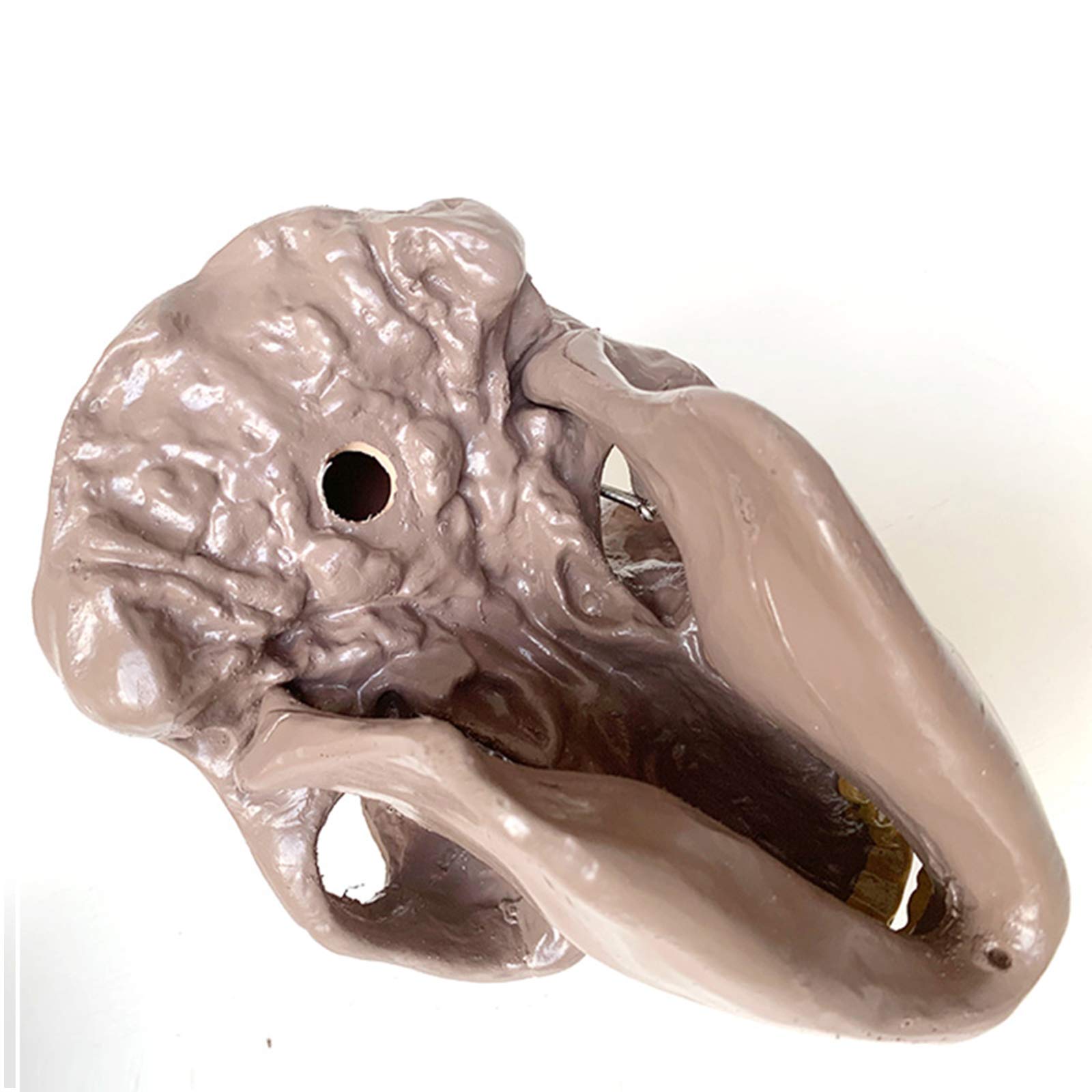 1:1 Replika Modelu Szkieletu Ludzkiej Czaszki - Replika Czaszki Orduryjskiej - Materiał Pvc Model Głowy Ludzkiej Czaszki - Do Demonstracji Nauczania Nauk Ścisłych, Kolekc