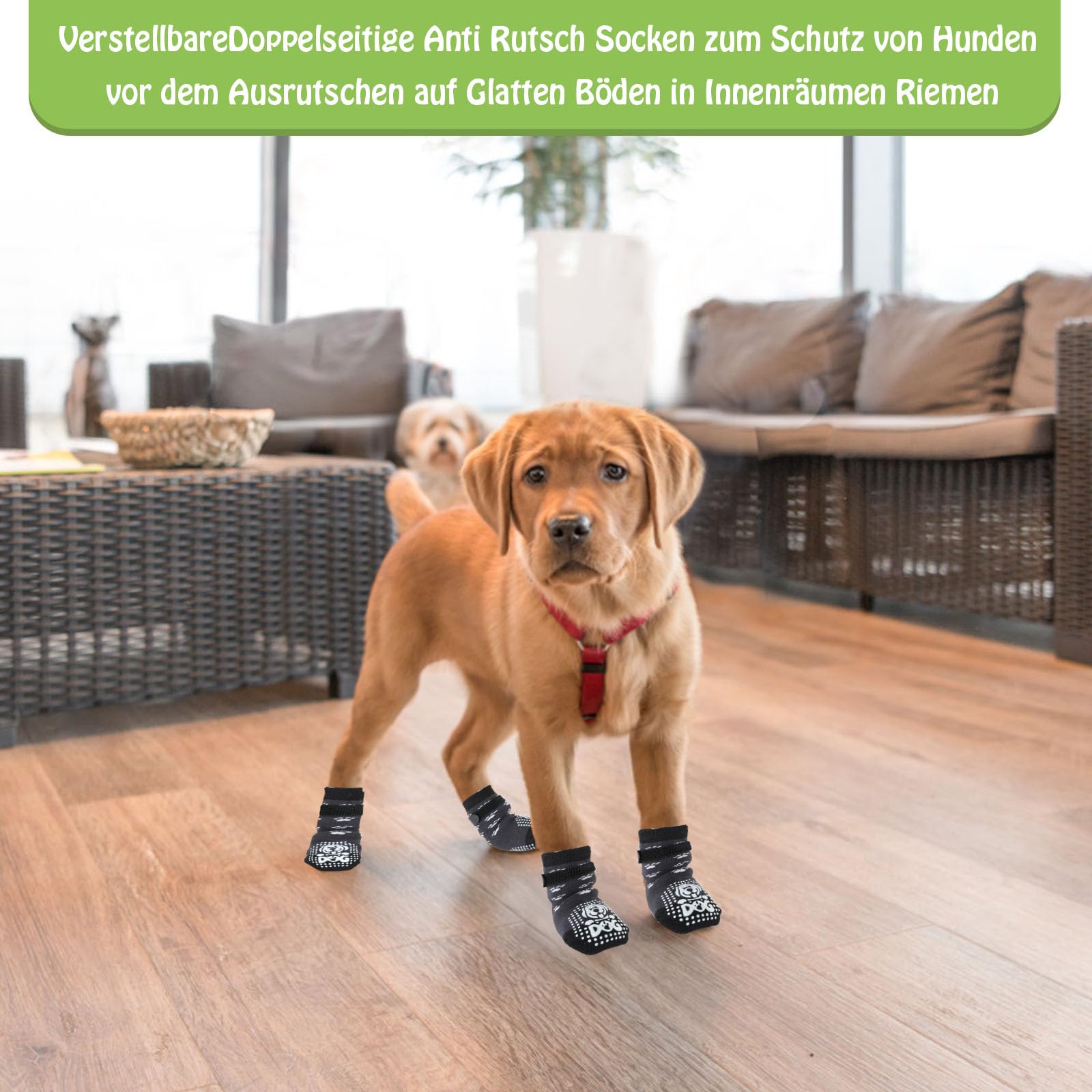 3 Paar Antislip Hondensokken Met Klittenband – Voor Hardhouten Vloeren – Geschikt Voor Kleine, Middelgrote En Grote Honden