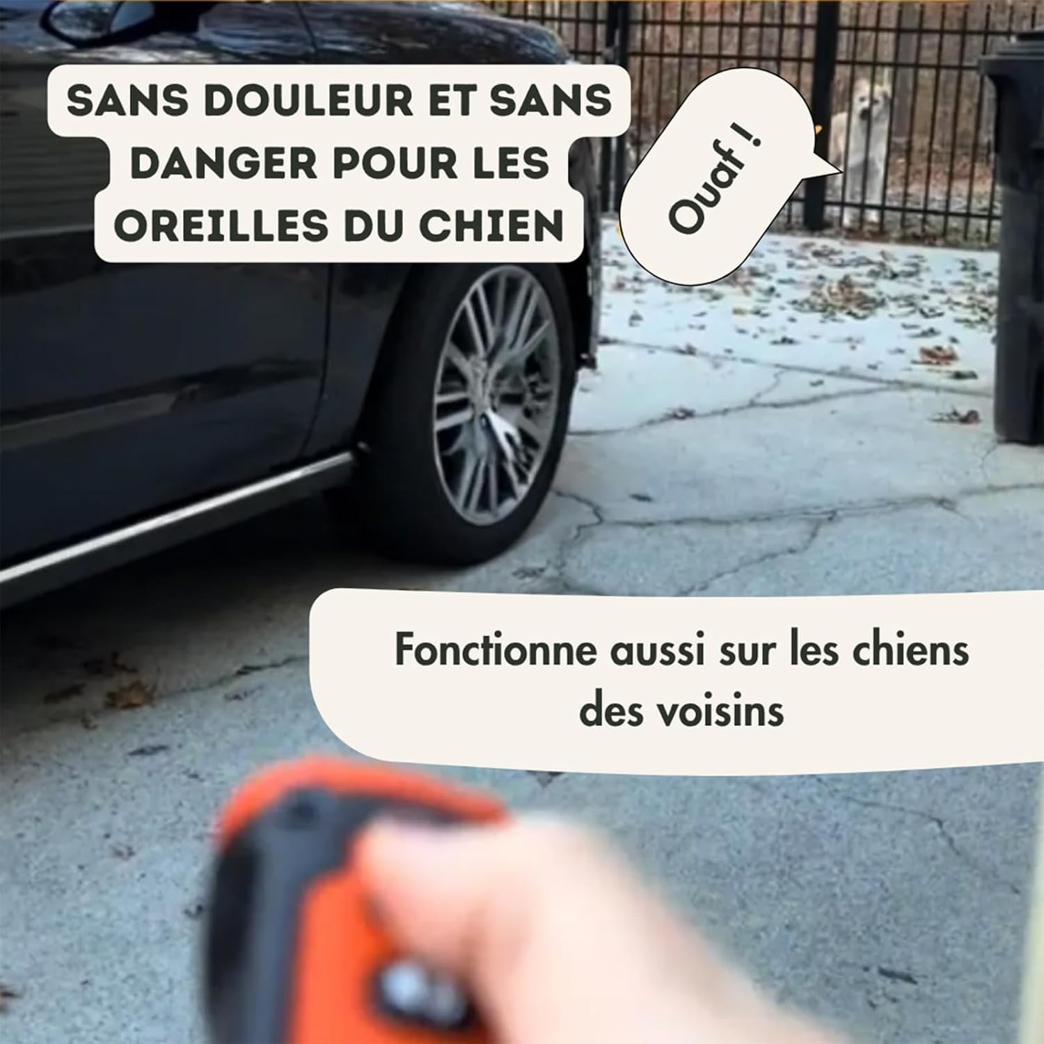 Croquette Stop-Croq - Calmez Les aboiements Tout en Douceur, en Une Pression