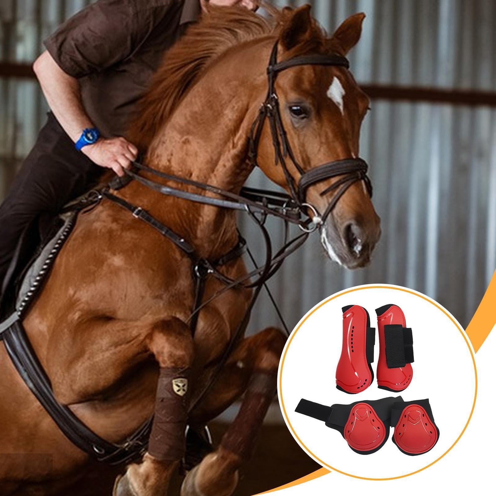Gralara 4 Protectores de tendón para Caballos, Equipamiento Ecuestre, para Patas Delanteras y traseras.