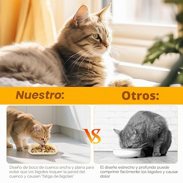 Foto 5 de 7 de Otauoaea 12 Piezas Comedero Gato, Pet Tazones para Gatos Cuadrado