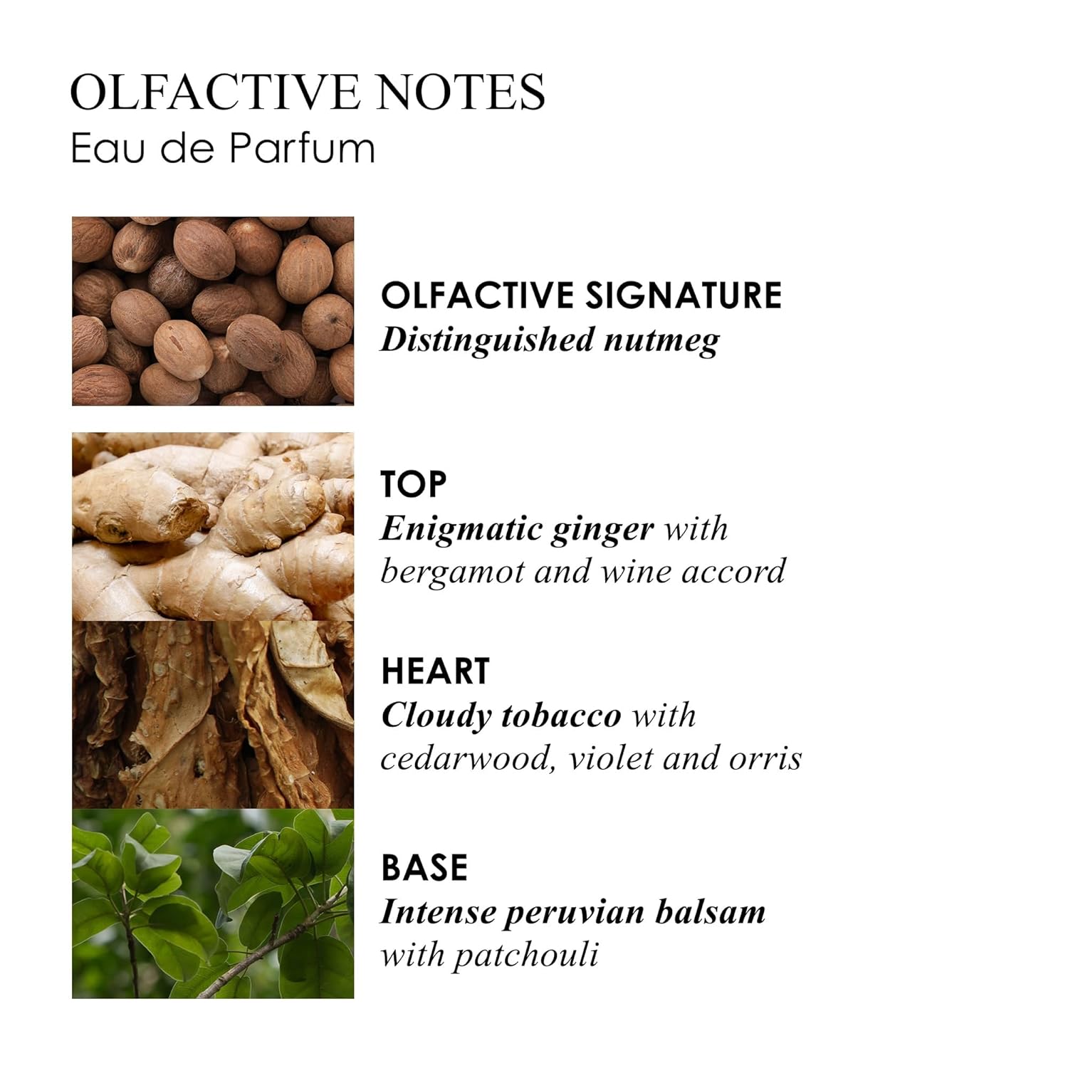 Molton Brown Tobacco Absolute Eau de Parfum - Image 3