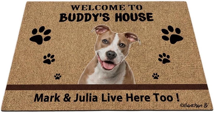 Custom Shorthair Persian Cat Welcome Floor Mat Funny Pet Paws Doormat Welcome to Dog's House Gift for Dog Lover 23.6"x15.7"