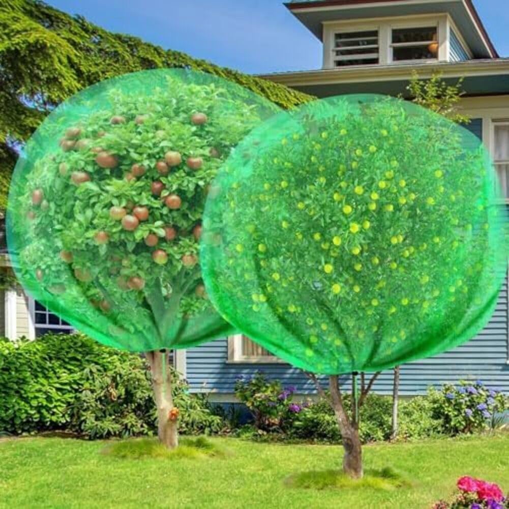 Filet pour arbre fruitier, filet transparent ultra fin en maille verte myrtille avec cordon de serrage à fermeture éclair (3 x 4 m)