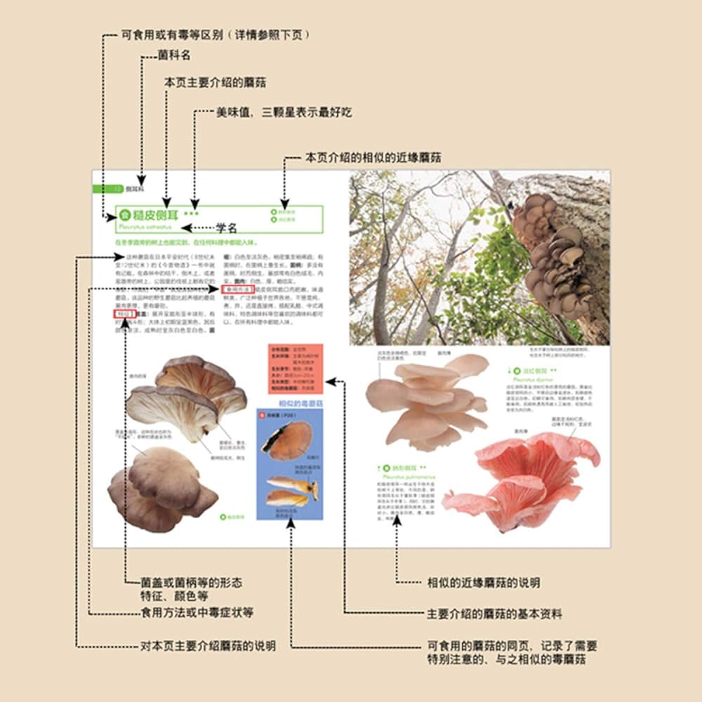 莓菰*樣専用 限時狩獵（2冊）＋小蘑菇特裝版 特典付き Amazon.com: 实用野生蘑菇鉴别宝典: 9787518428106: (日)大作晃一
