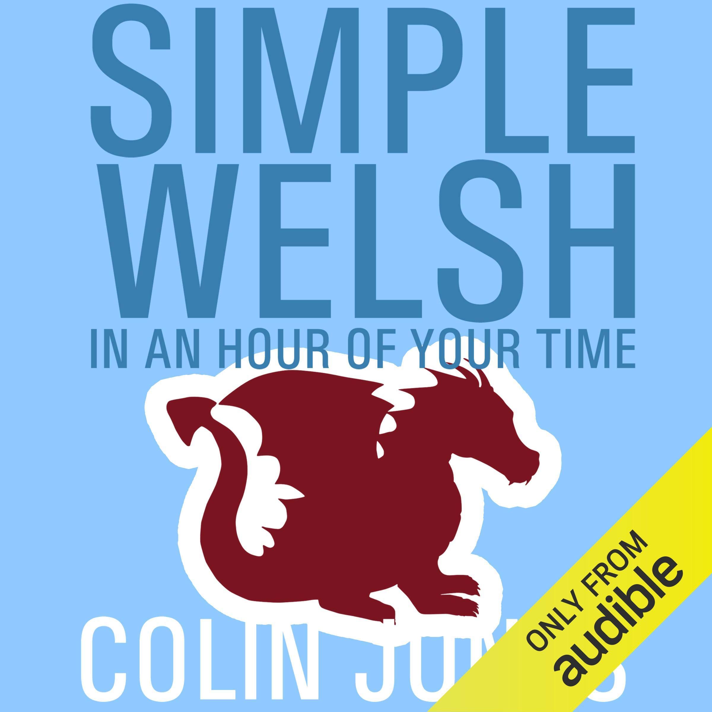 Cover art for Simple Welsh in an Hour of Your Time