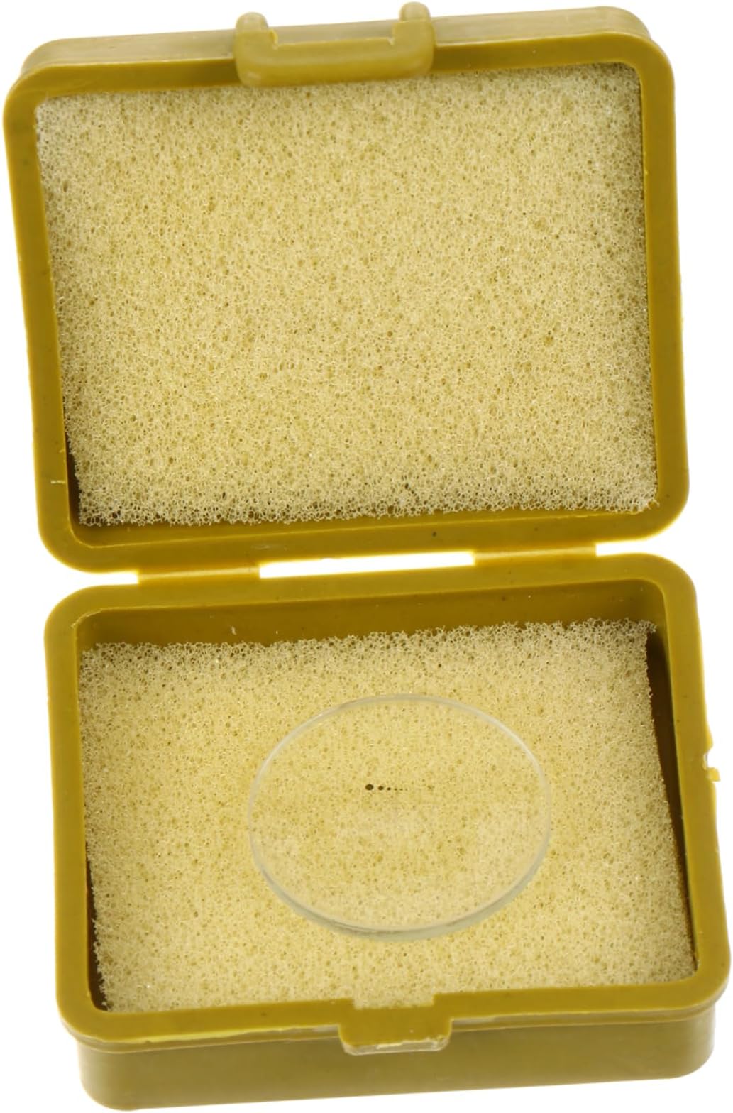 Baluue Eyepiece Micrometer Ocular Micrometer Scale Ruler Microscope Slides Area Measuring Rulers Microscopio Net Shaped Micrometer Glass Sheet The C2 According to The Picture