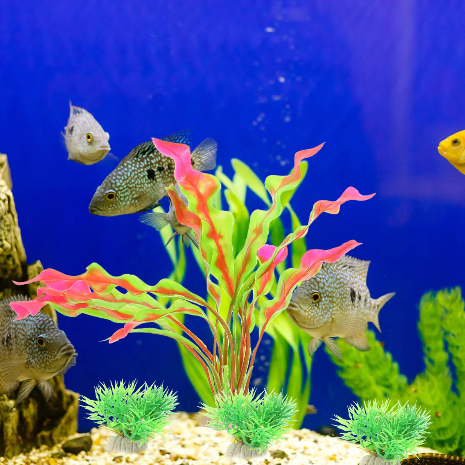 Sosoport 3 Ensembles Aménagement Paysager D'aquarium Réservoirs Bocal À Poisson Étang Décoration Terrarium Décoration Aquarium Plantes D'aquarium Décors D'aquarium Plastique 16 Pièces * 3