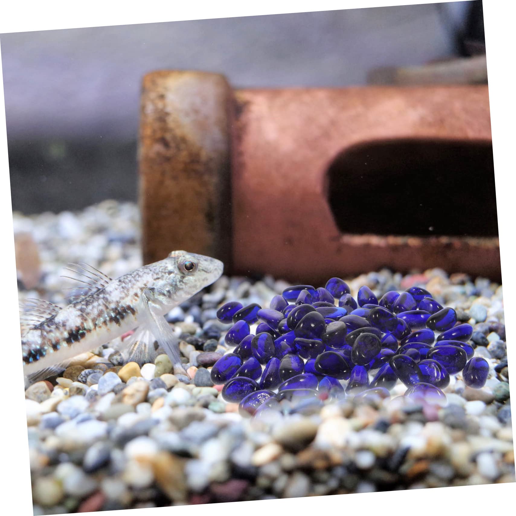 Beaupretty 2sacs Pierres Verre pour Décoration Aquarium Et Aménagement Paysager De Galets Décoratifs pour Jardins Et