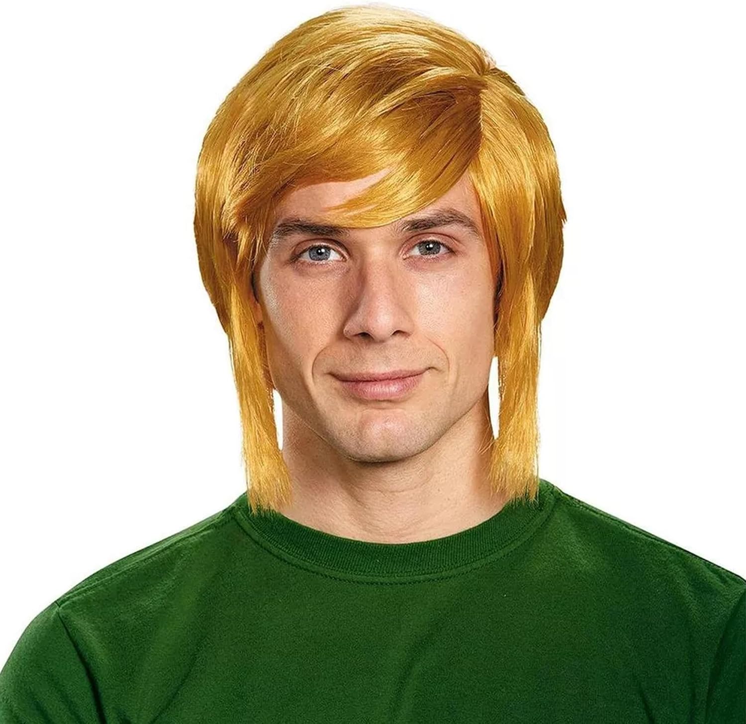 Disguise Men's Link Adult Wig