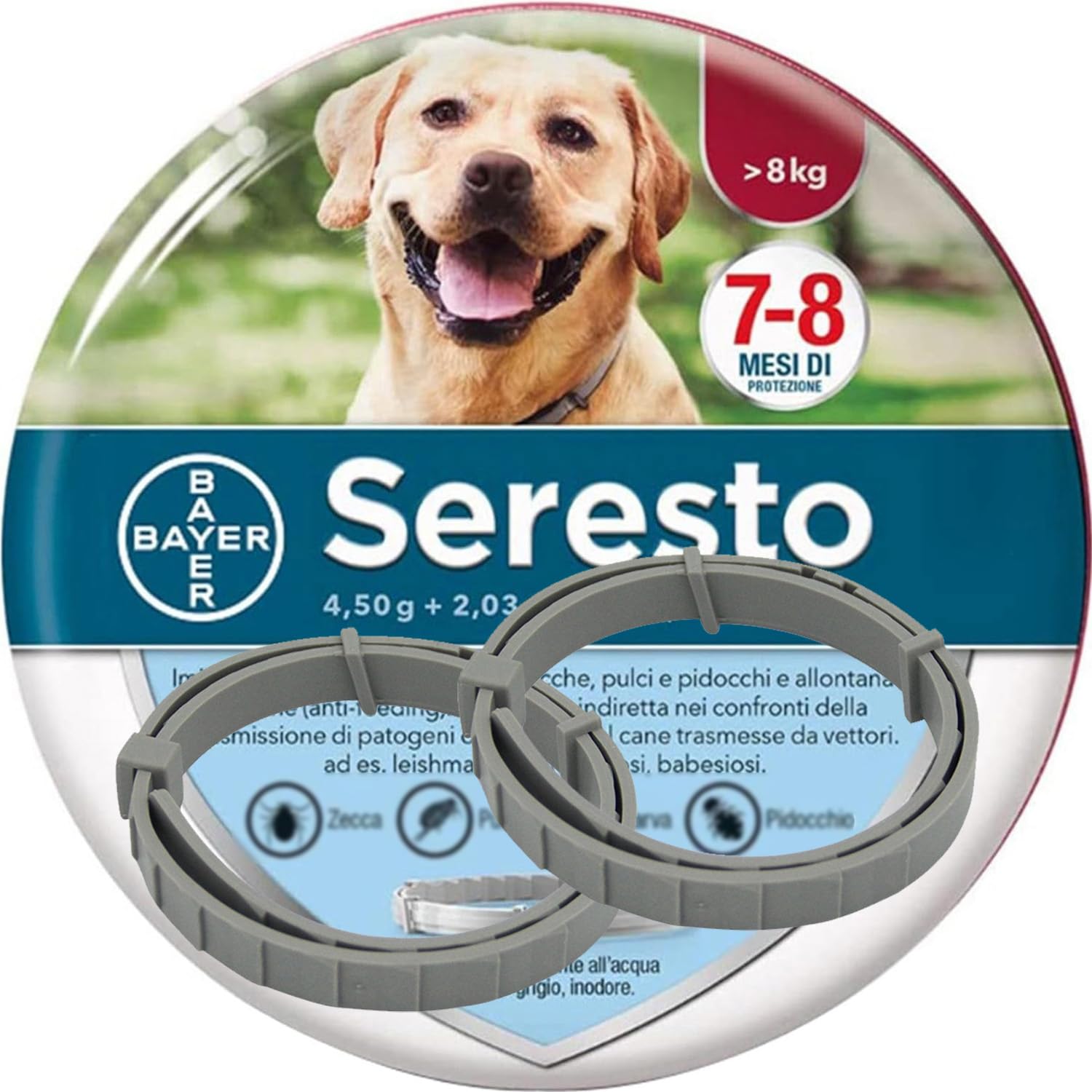 2PCS Collar para Perro, Collar Impermeable, Cuello Ajustable Collar para Perro ((Perros Pequeños)-(38cm/14.9in))