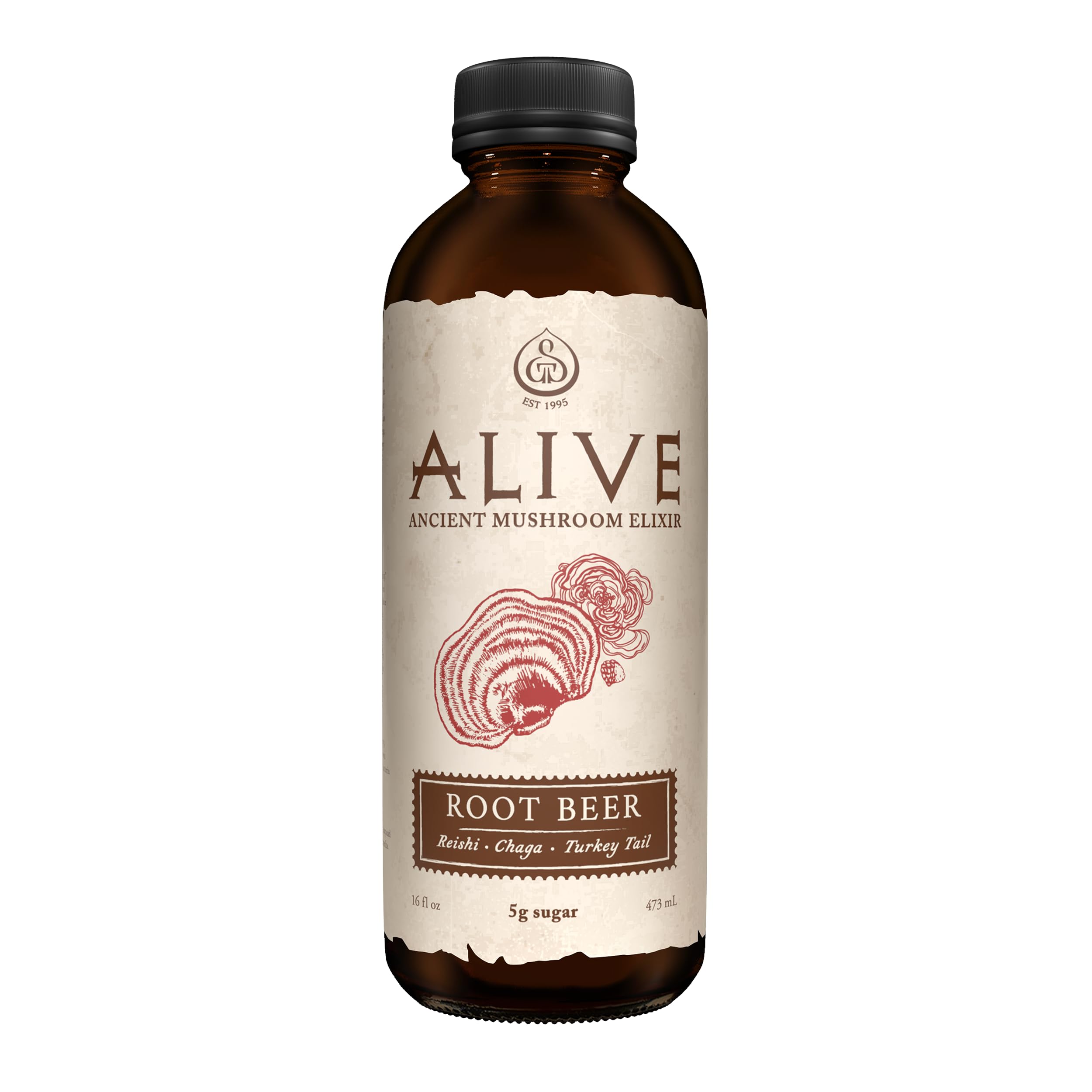 GTS Pu-Erh Root Alive Sparkling Cider, 16 FZ