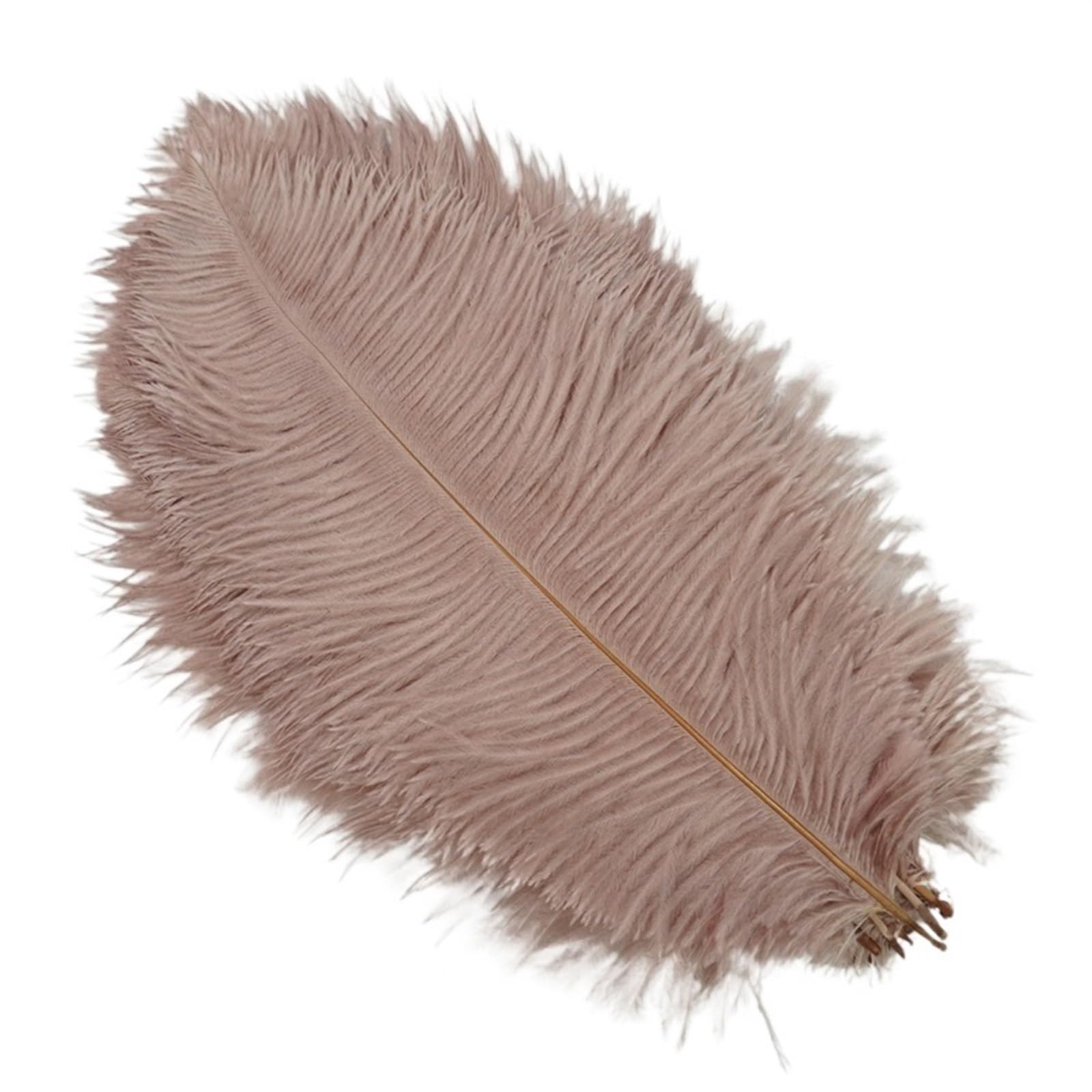 Ostrich Feathers 10Pcs Colorful Ostrich Feather Handicraft Accessories Dream Catcher Decoration Jewelry Creation Natural Plume Table Centerpieces(Cameo,25-30cm 10-12inch)