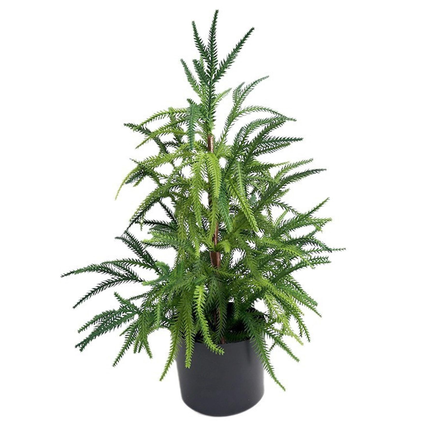 CAKEEYUM Artificial Norfolk Pine Tree, 22 Inch Lifelike Norfolk Pine Tree in Pot, Plastic Mini Trees for Indoor Table Desk Home Decor Artificial Norfol