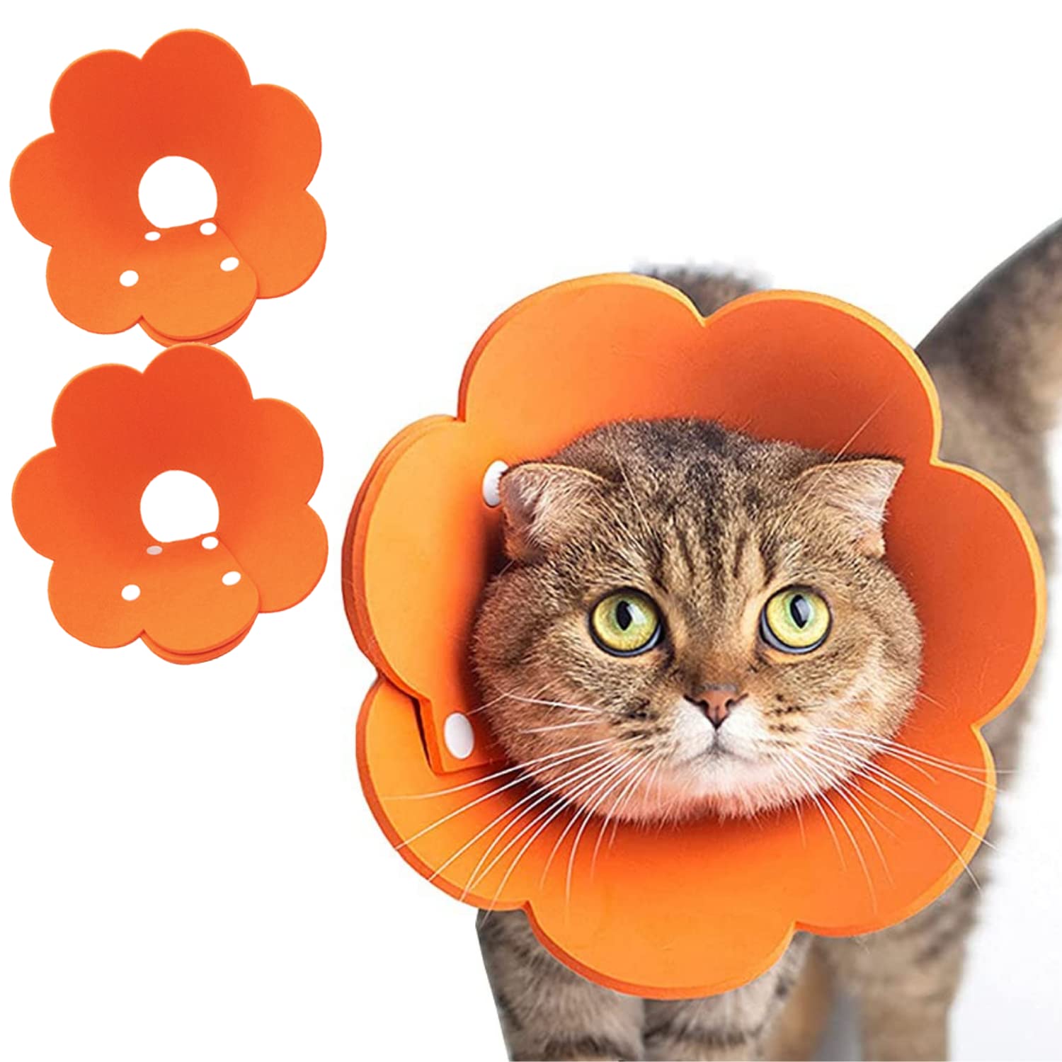 crazy bean 2PC Collar de Recuperación de Collar de Cono de Gato Malla Transpirable Collar Isabelino Gato Endeble Arnés Ajustable Artículos para Mascotas Adecuados para Perros y Gatos