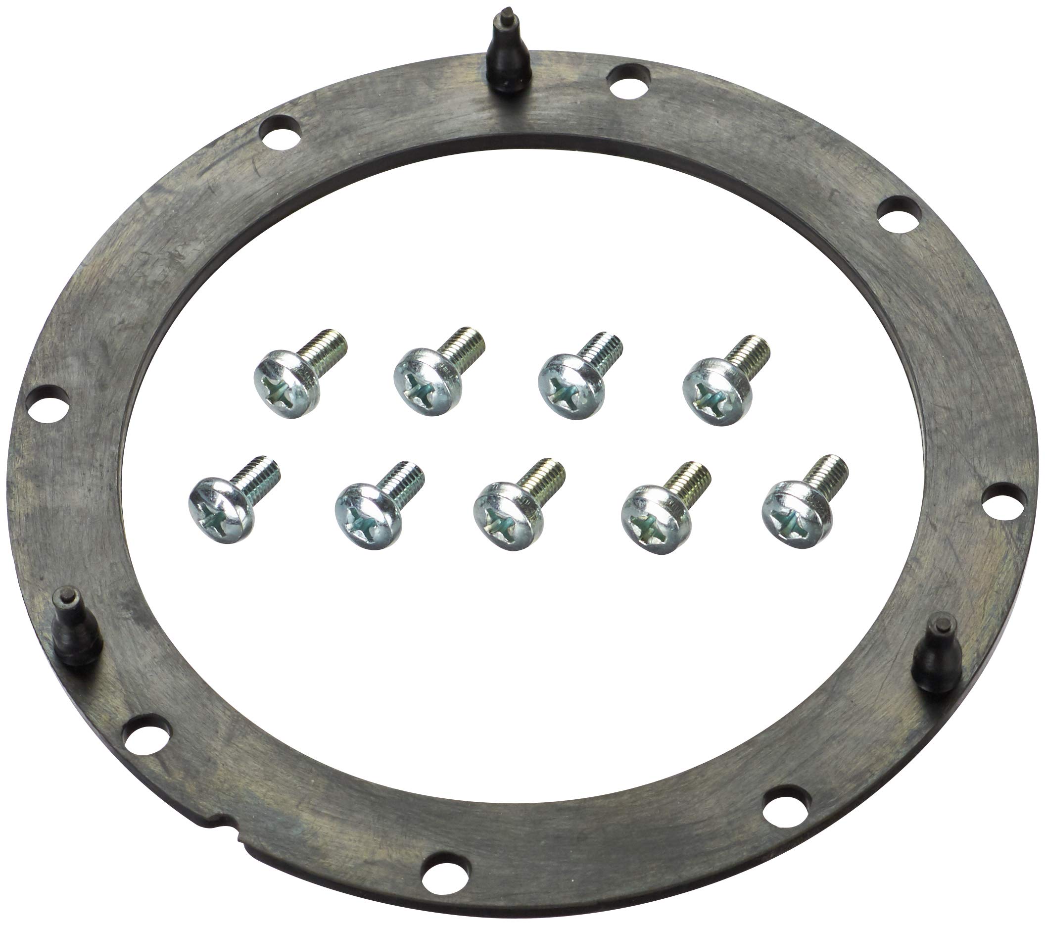 Spectra Premium LO107 Fuel Tank Lock Ring for Toyota : Amazon.in