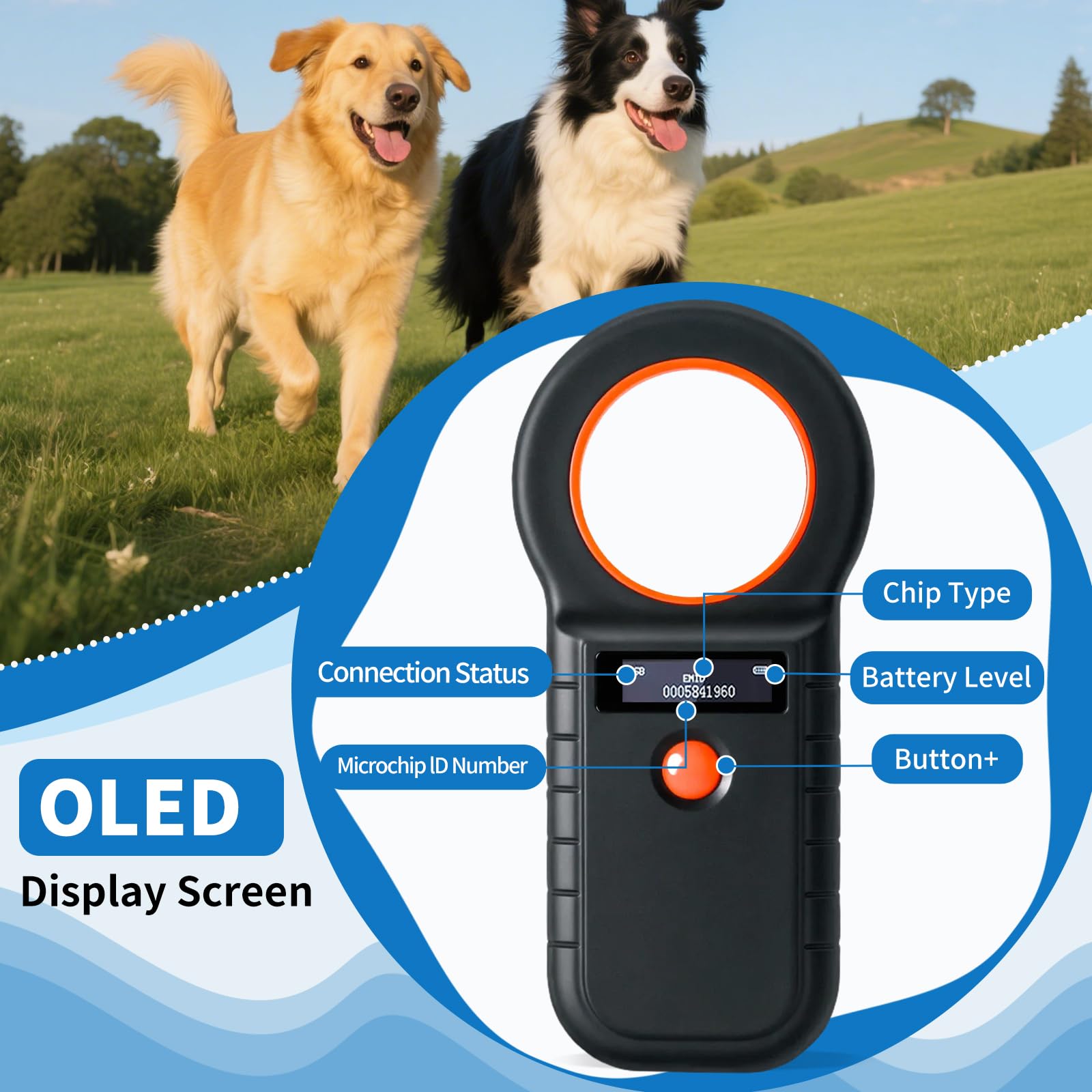 ARCELI Lecteur de Puce pour Animaux, Lecteur Puce Animaux, Lecteur de Puce pour Chiens/Chats, Lecteur de micropuce RFID, 134,2KHz, 128 Tag Memory, ISO11784/85/HFDX-B/EMID