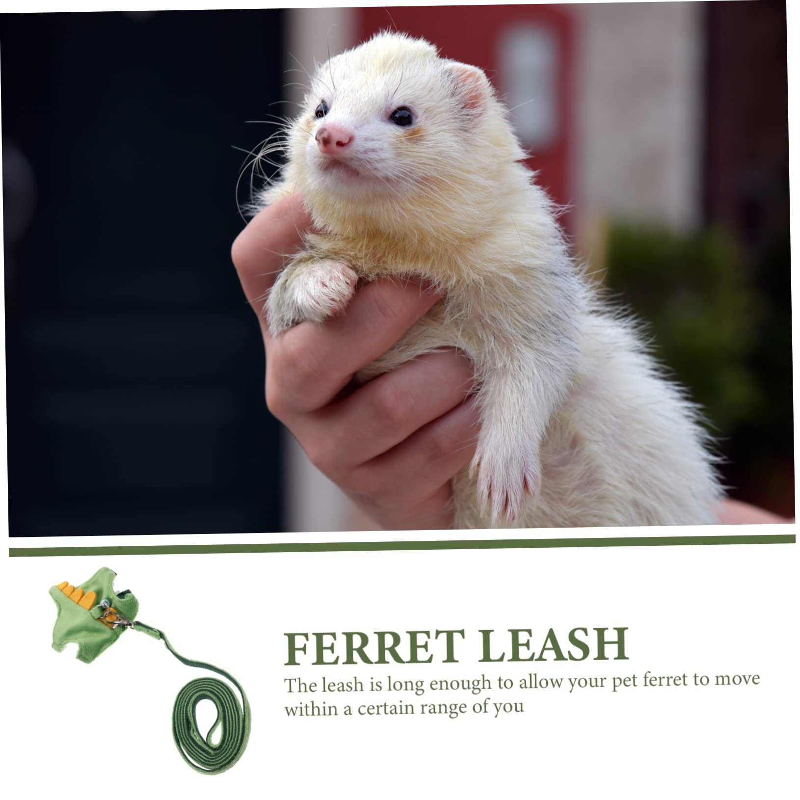 Didiseaon 5pezzi Guinzaglio Per Piccoli Animali Corda Di Trazione Per Ferret Leggero e Compatto Accessorio Per Passeggiate All Aperto
