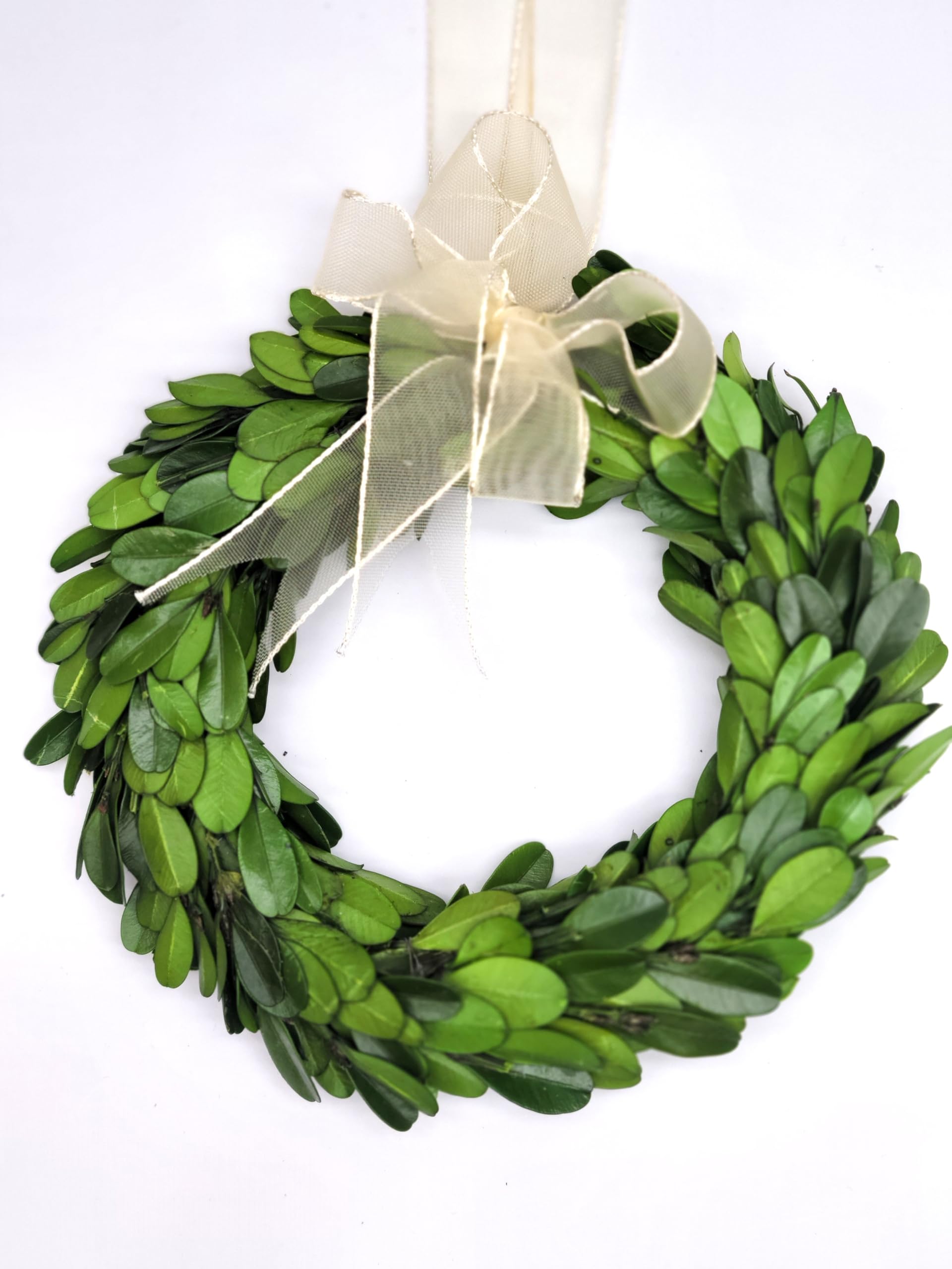 Tradingsmith Preserved Boxwood Wreath 6 in