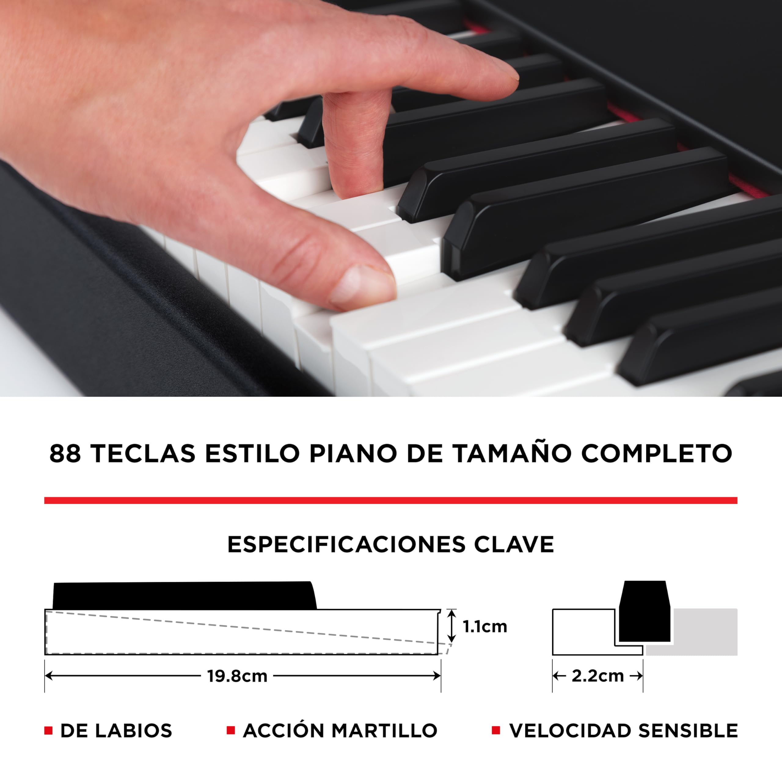 M-AUDIO Hammer 88 Teclado Controlador USB/MIDI Profesional con 88 Teclas de Acción Martillo y Paquete de Software