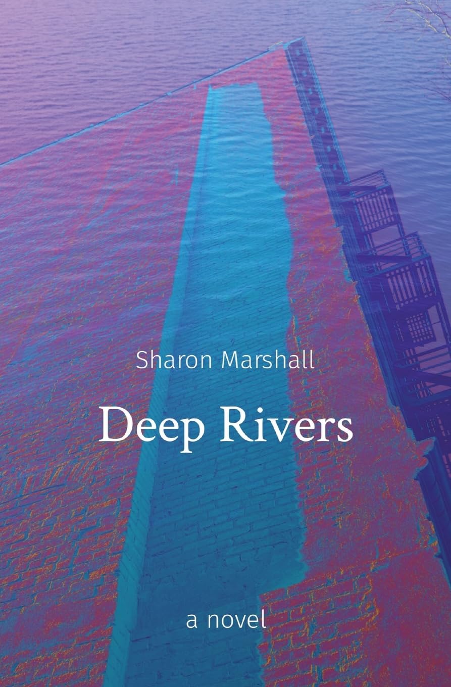 Deep Rivers: a novel