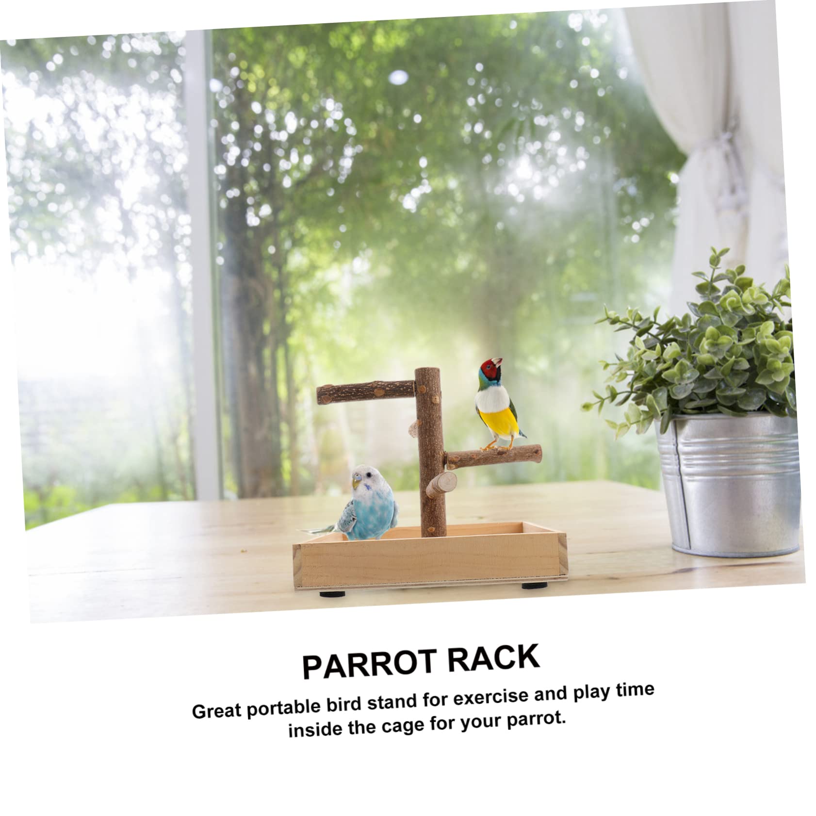 BESPORTBLE Percha de Madera para Loros Ramas de Actividad, Soporte Seguro para Pájaros Pequeños, Juguete Interactivo Que Fomenta el Ejercicio Entretenimiento