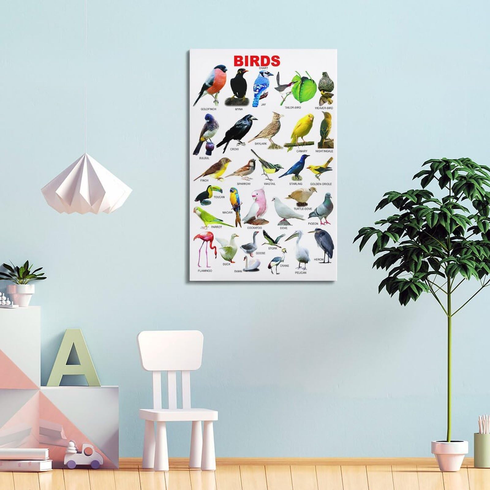 OKNGB Kinder-Zoologie-Pädagogisches Poster, Vogelführer-Poster, dekorative Malerei, Leinwand, Wandposter und Kunstdruck, moderne Familienschlafzimmer-Dekoration, Poster, 50 x 75 cm