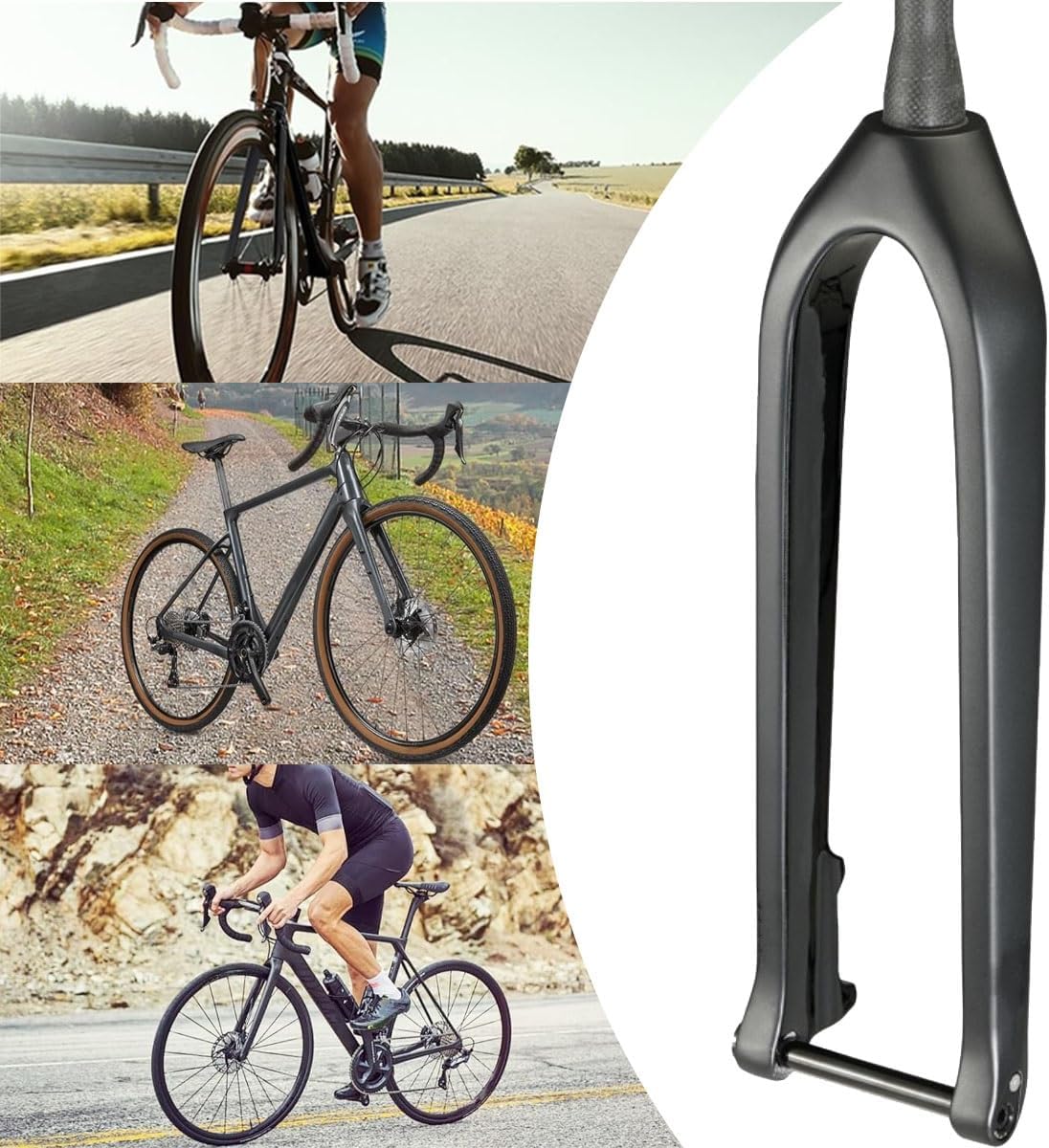 ヤリイカ スルメイカ キャスティングブランド これで見わけられる