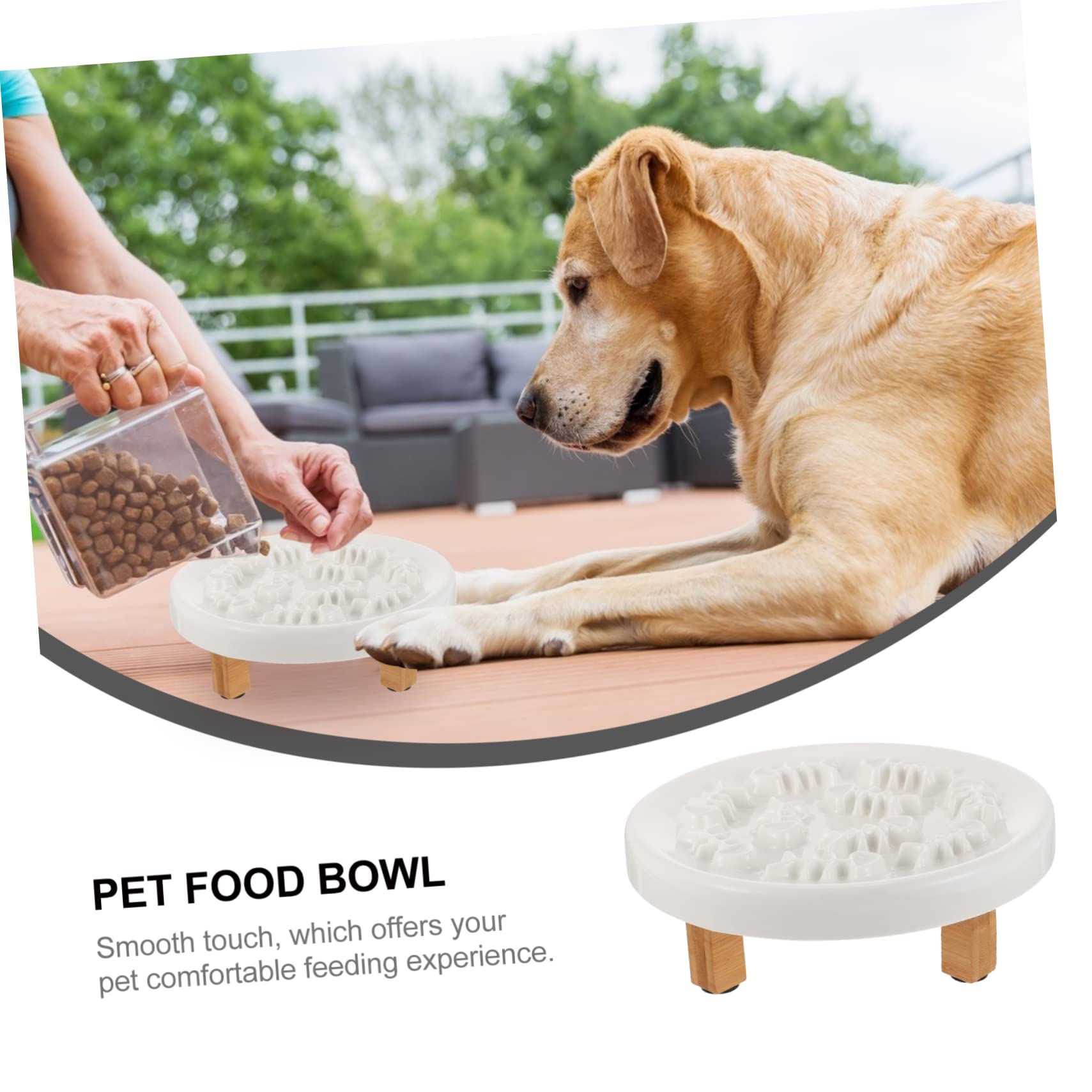 Toddmomy Gamelle Surélevée Anti-glouton Céramique et Bois, Support Stable, Protège Le Cou, 1 Lot pour Petit Chien et Chat