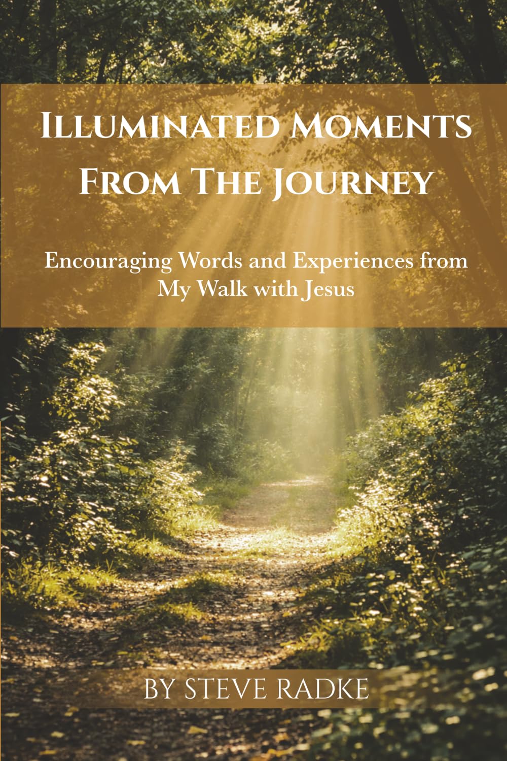 Illuminated Moments from the Journey: Encouraging Words and Experiences from My Walk with Jesus