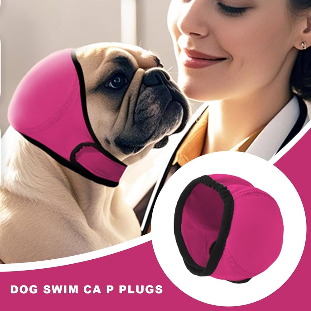 How to Keep Water Out of Dog's Ears When Bathing: Expert Tips