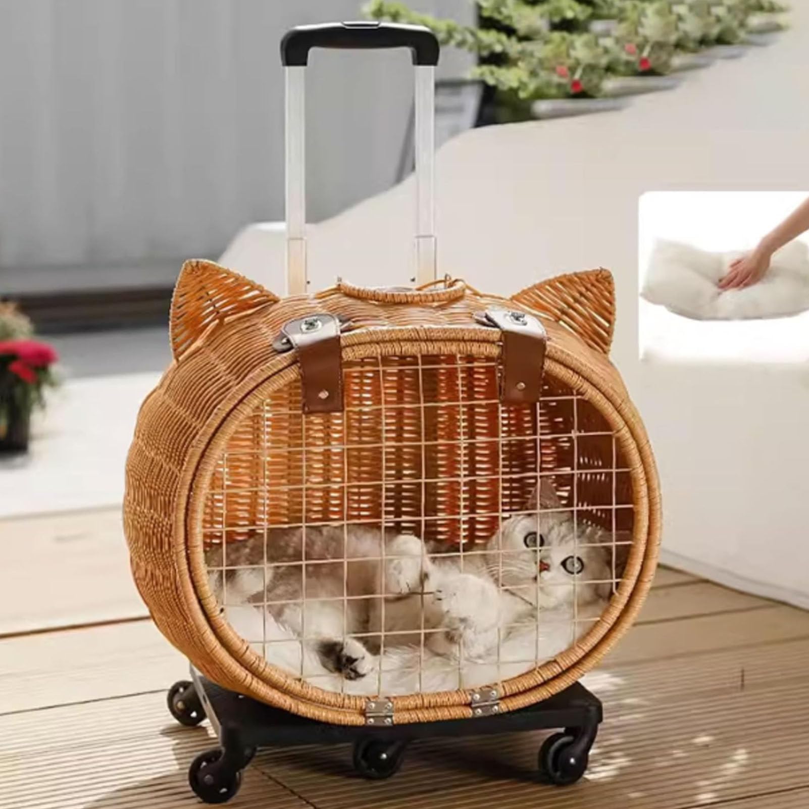 Cochecito para gatos de exterior: comparte paseos y momentos únicos con tu mascota 2