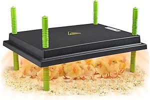 Chick Brooder Heater Plate: The Nurturing Solution for Poultry Farming
