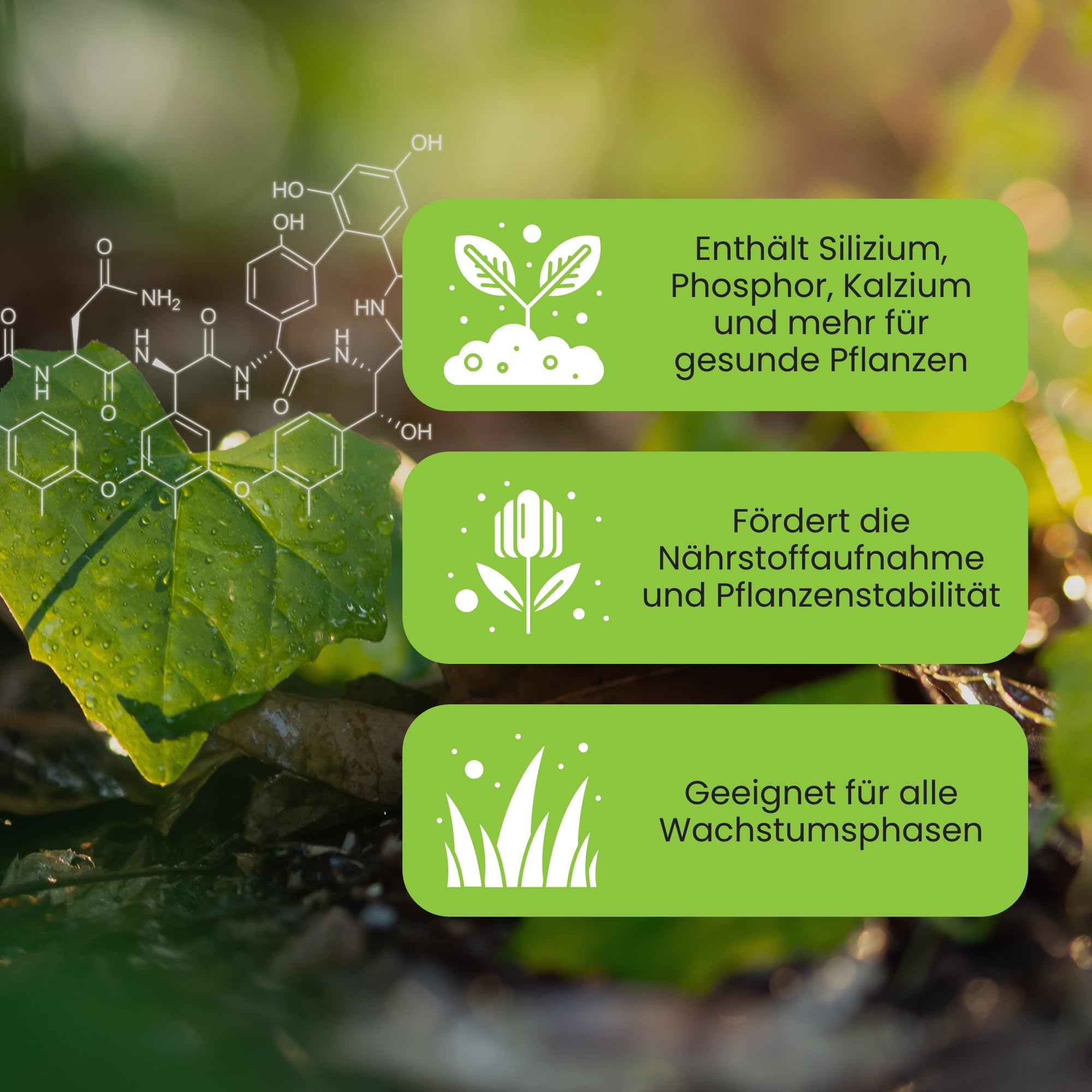 Siliziumpulver Si Star – Biologisches Pulver zur Stärkung von Pflanzen mit Silizium, Kalzium und Nährstoffen, für gesundes Wachstum und reichhaltige Ernte