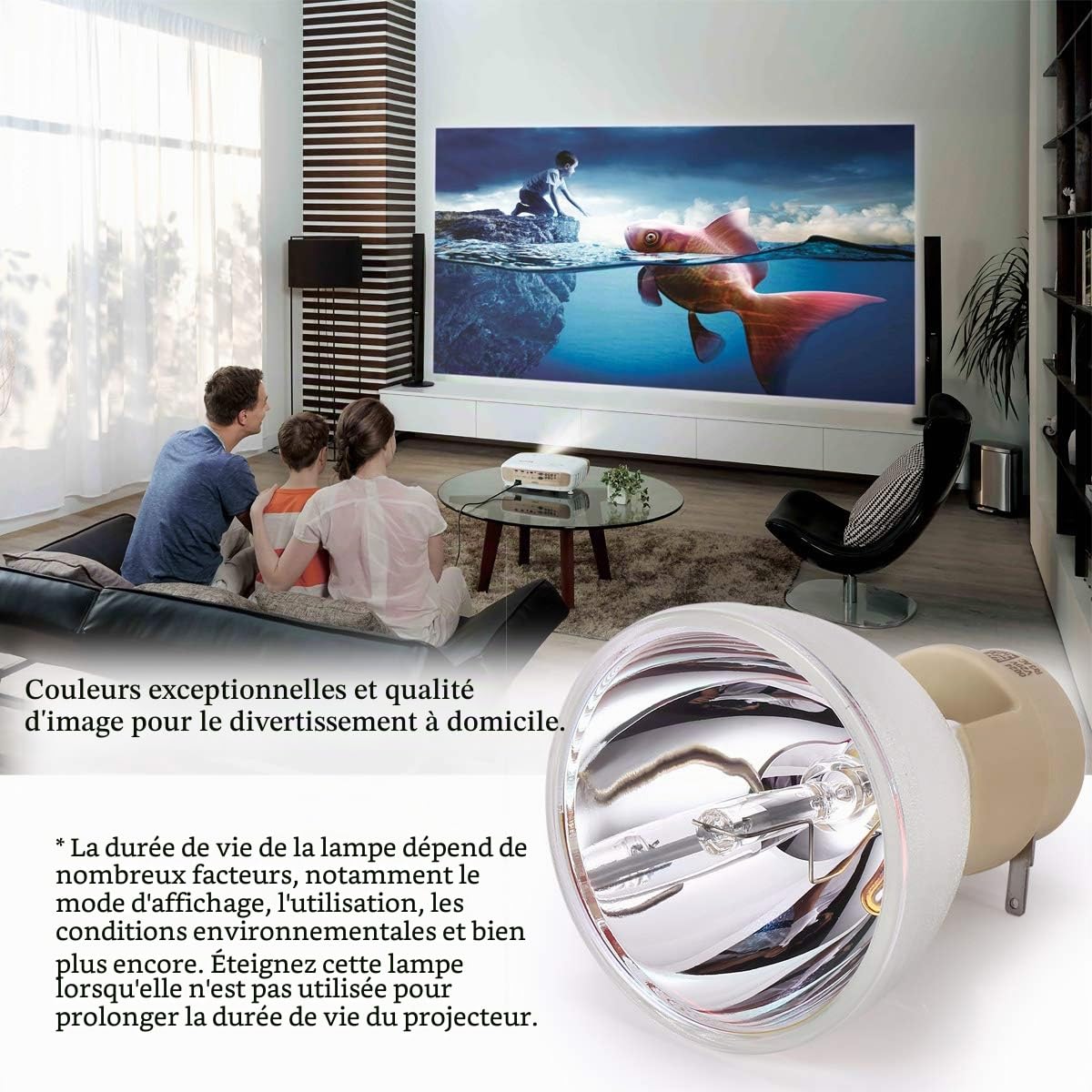 Lampe de Vidéoprojecteur pour BenQ W1070 W1080ST W2000 W1070+ W1080ST+ W1250 HT1075 HT1085ST MH630 W1210ST W2000+ HT2050 HT2150ST HT3050 W1110 W1120 5J.J7L05.001 5J.J9H05.001 5J.JEE05.001