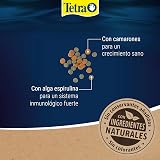 Ver la foto 5