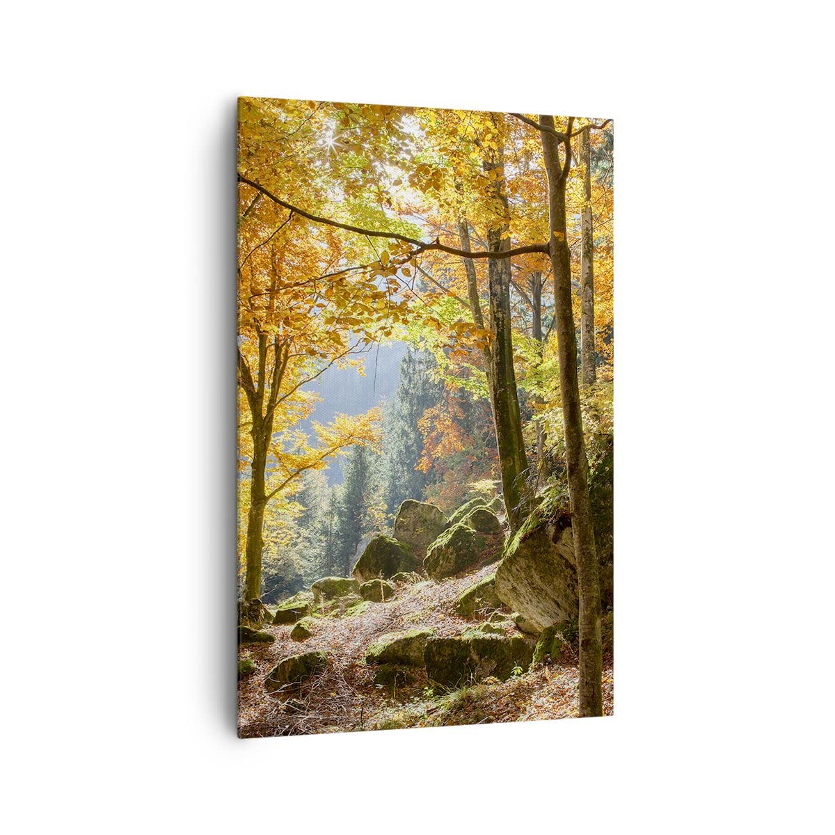 Lienzo Decorativo 80x120 cm Moderno Vertical Paisajes Naturaleza - 2713