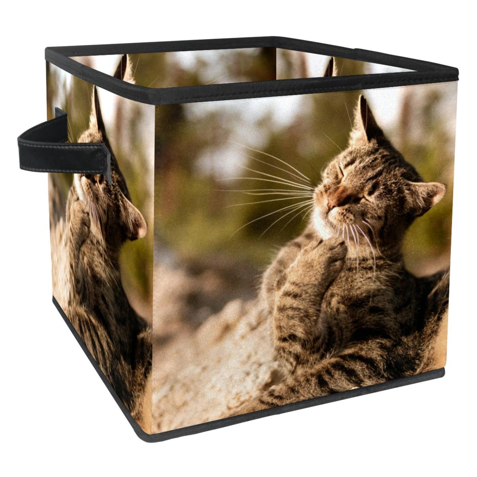 Boîte de rangement pliable en tissu motif chat au soleil pour placards