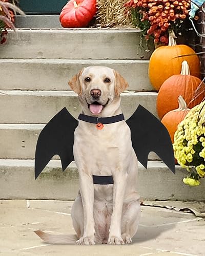 Miniatura 7 de Disfraz de Halloween para perro grande, alas de murciélago de perro con campana de calabaza para mascotas, disfraz de fiesta de cosplay de Halloween
