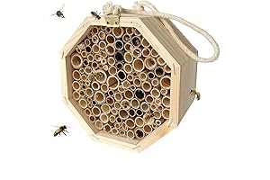 Sustainably Crafted Hexagon Bee Hives, Fostering Garden Biodiversity