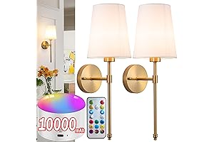 Wall Mount Lights: Battery Operated Wall Sconce Light with Remote Control