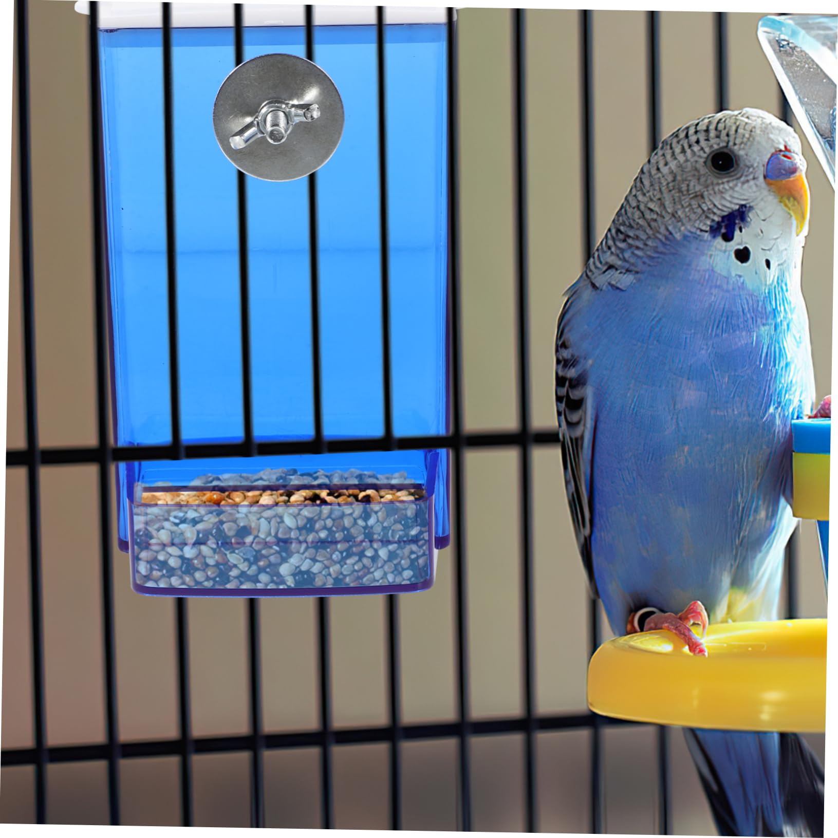 Sosoport 4pezzi Mangiatoia Per Uccelli Trasparente Distributore Per Pappagalli e Cockatiel Facile Da Installare Resistente e Decorativo Per