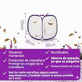 Ver la foto 6