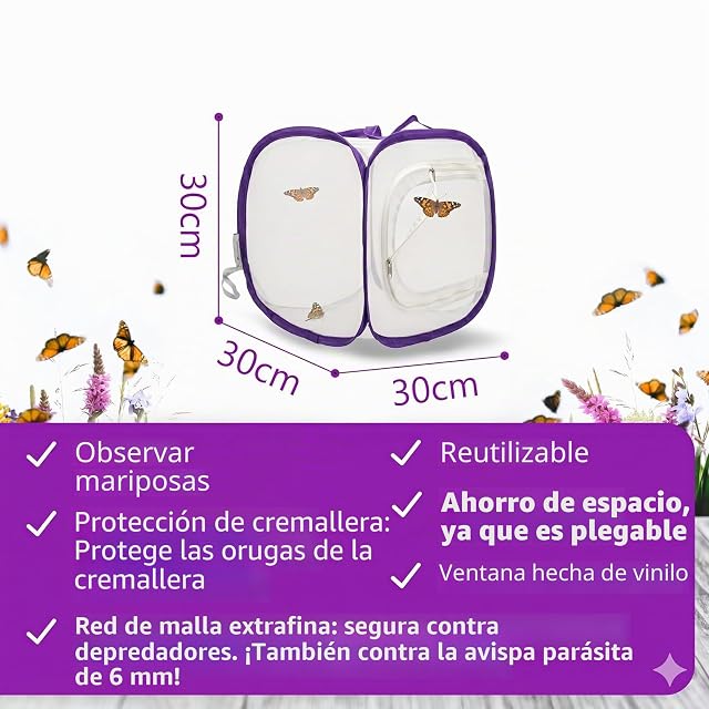 Foto 6 de 8 de LEPITERRA Juego de cría de mariposas para niños/adultos, ideal para el hogar, garantía de éxito