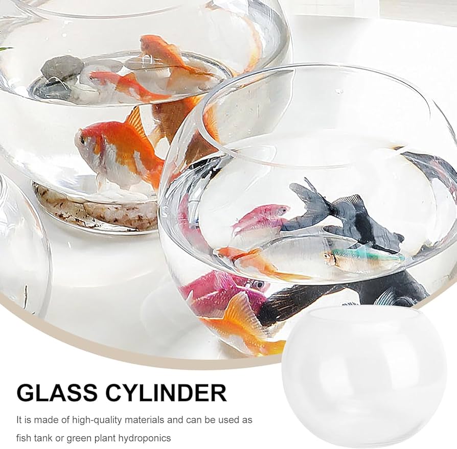 Amazon.co.jp: 丸 花瓶 丸 ガラス 花瓶 水耕栽培 花瓶 透明 魚
