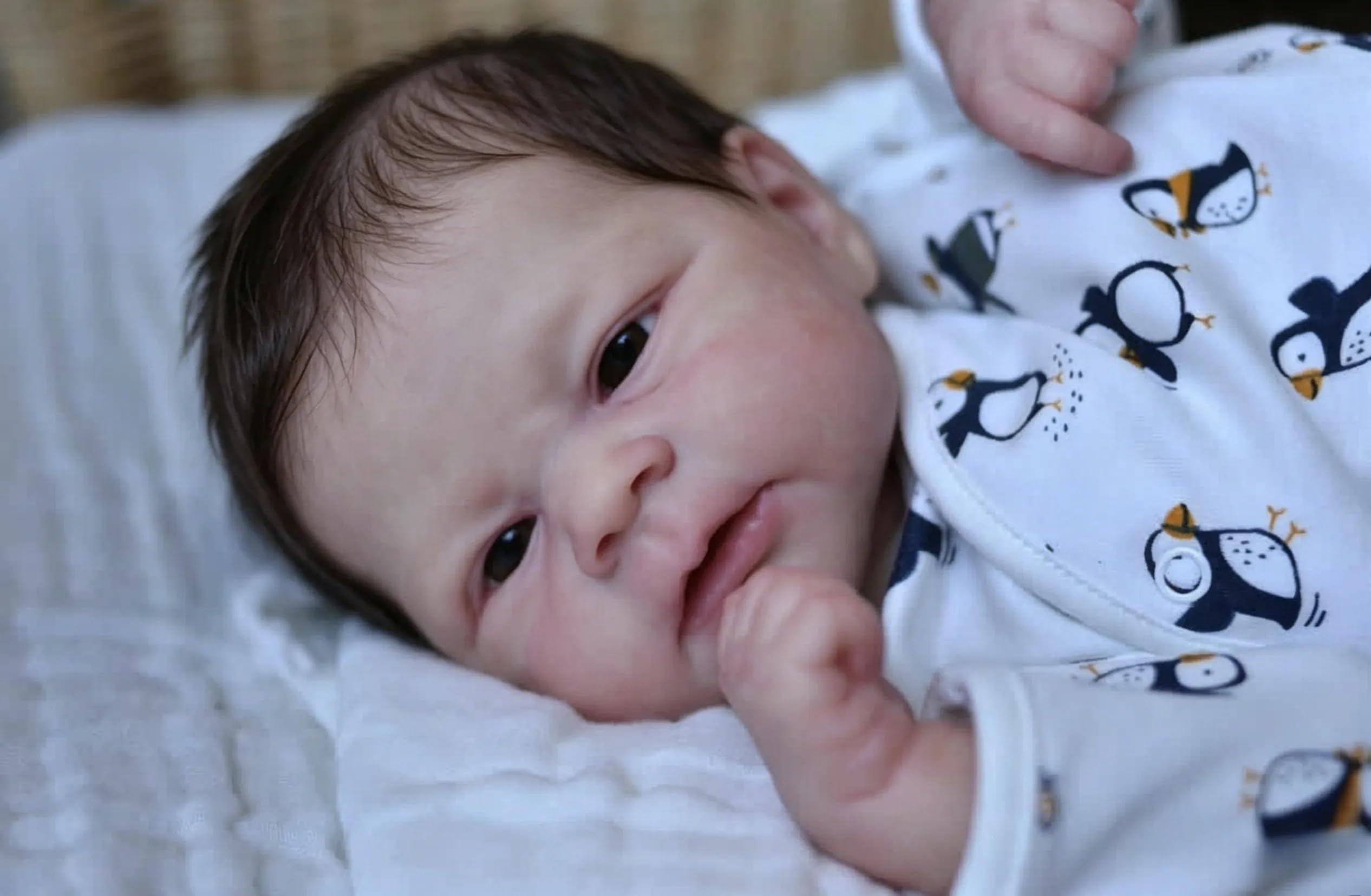 Zero pam 17'' Reborn Baby Dolls, Realistic Baby Doll cute Boy, Real Life Babys Doll With Rooted Hair, Sleeping Lifelike Newborn Dolls With Accessories For Kids 3+, Pretend Play