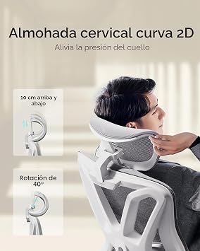 Hbada P5 Ergonomic Office Chair with Adjustable Lumbar Support, Breathable Elastic Cushion, Adjustable Armrests and Headrest, Integrated Footrest, Black (Carbon Steel, White)