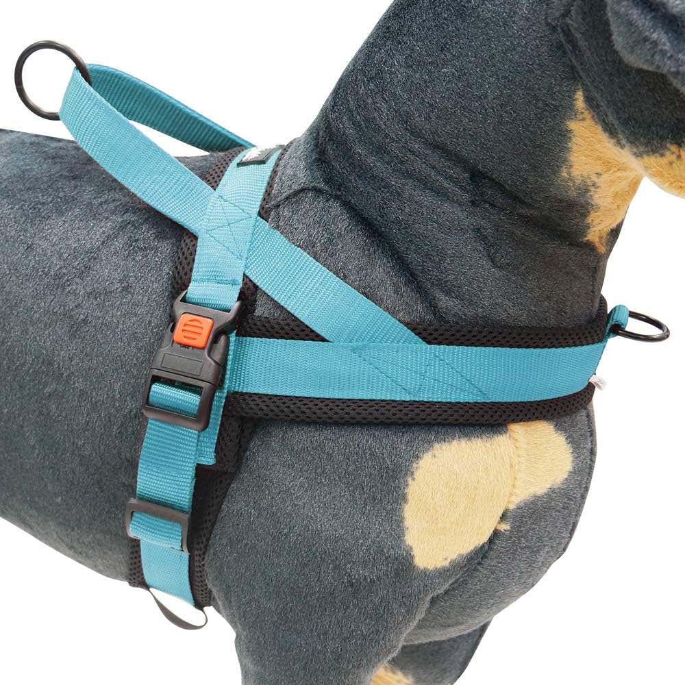 Adjustable and Comfortable Step in Pet Harness for Medium Dogs and Cat by OLEH-OLEH (XL, Blue+Black)