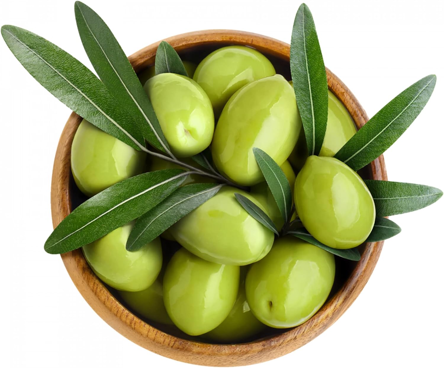 YEGAOL Garden 15Pcs Olive Tree Seeds NonGMO Evergreen