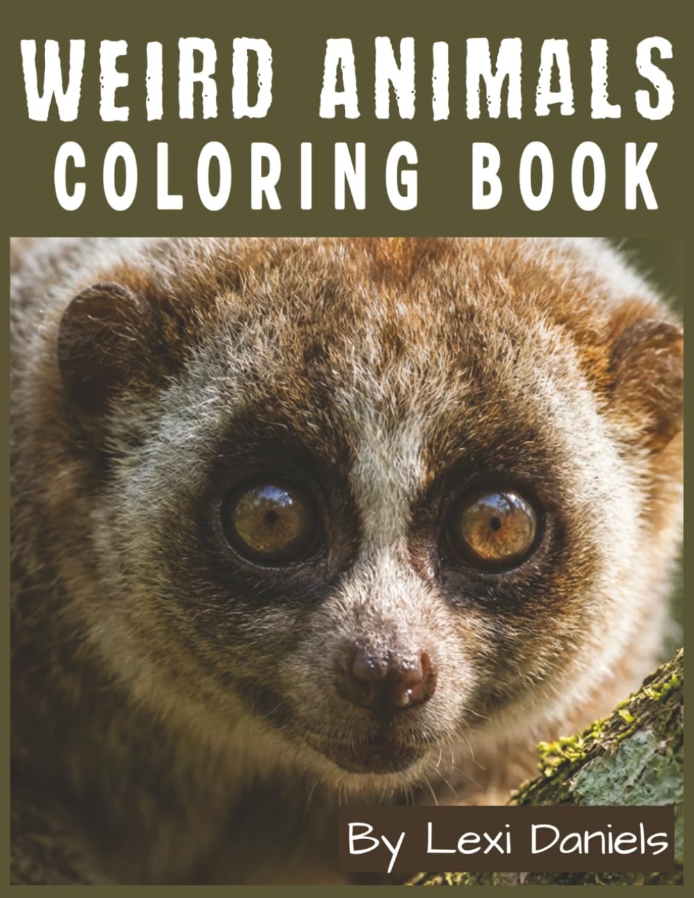 Weird Animals Coloring Book